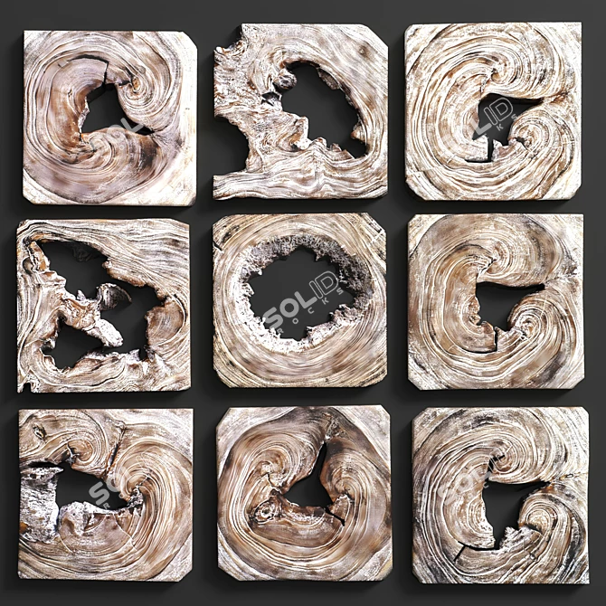 Handmade Whitewashed Wood Wall Art 3D model image 2