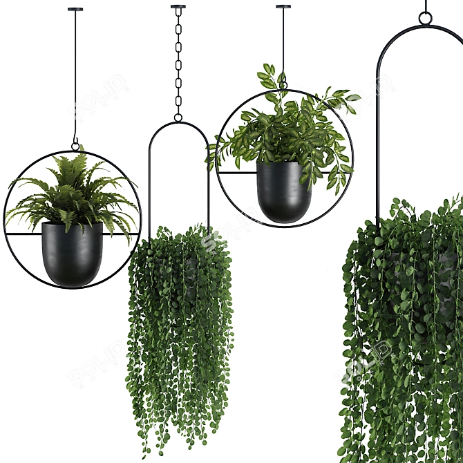 Modern Hanging Plant SetV1 3D model image 1