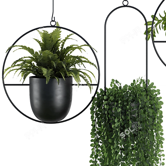 Modern Hanging Plant SetV1 3D model image 2