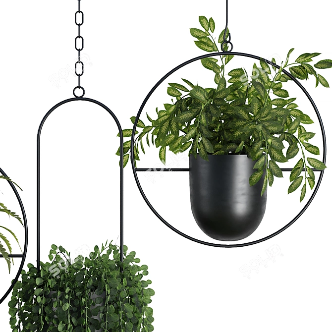 Modern Hanging Plant SetV1 3D model image 3