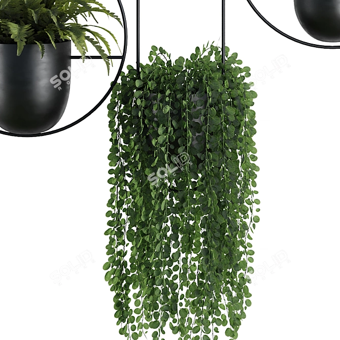 Modern Hanging Plant SetV1 3D model image 4