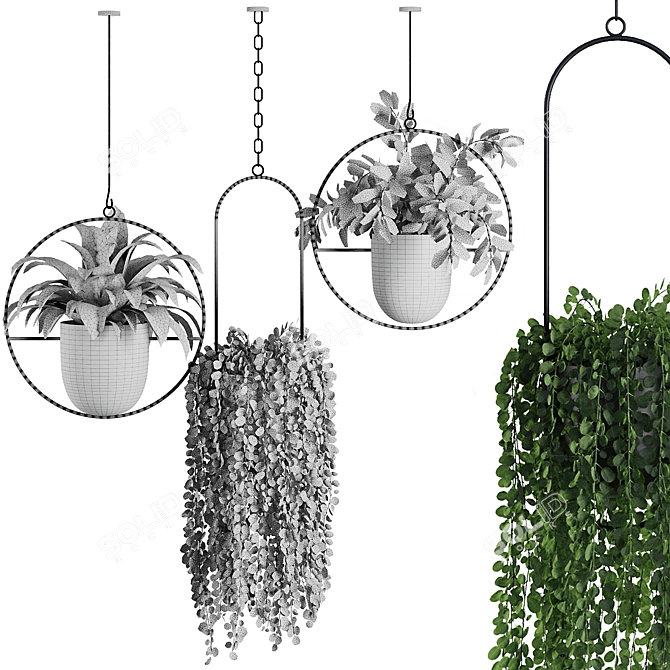 Modern Hanging Plant SetV1 3D model image 5