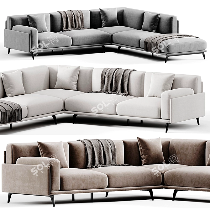  Modern Frame Sofa by Arflex 3D model image 1