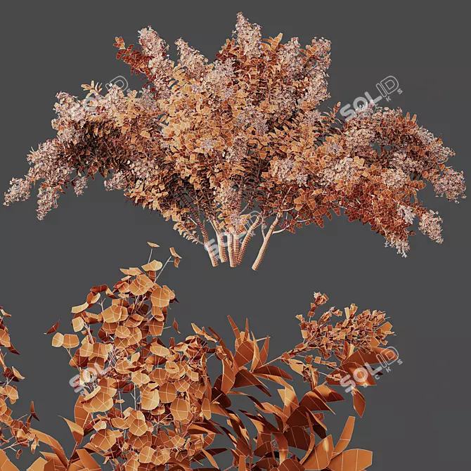 White Flowering Myrtle Tree Models 3D model image 4