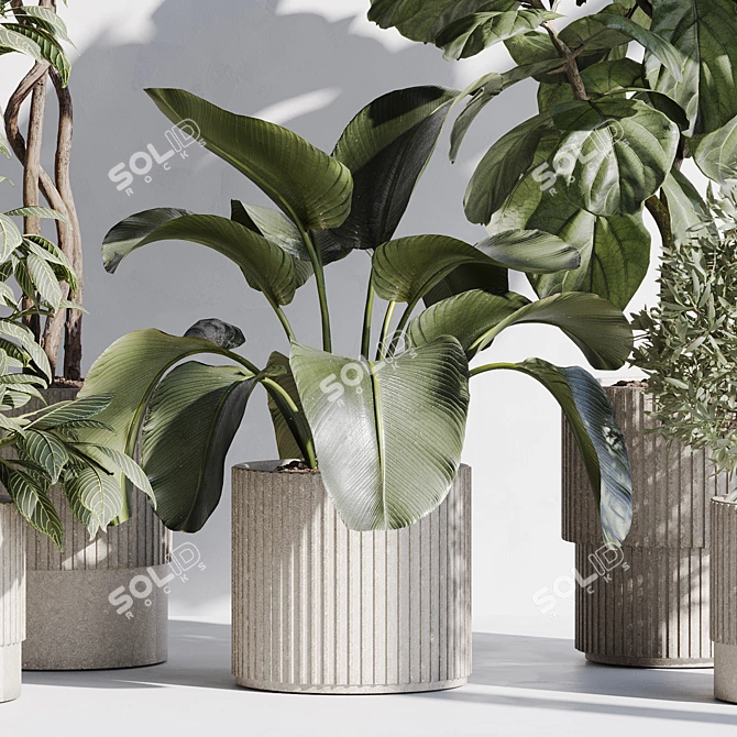 Botanical Bundle 68: 3D Models 3D model image 2