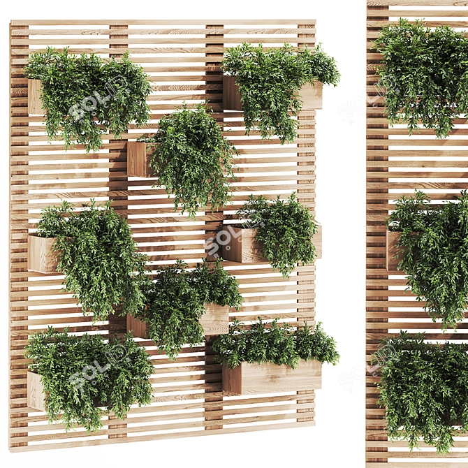  Vray Render Engine Plants Set 3D model image 1