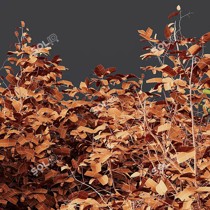 Colorful Winter Dogwood Plant 3D model image 5