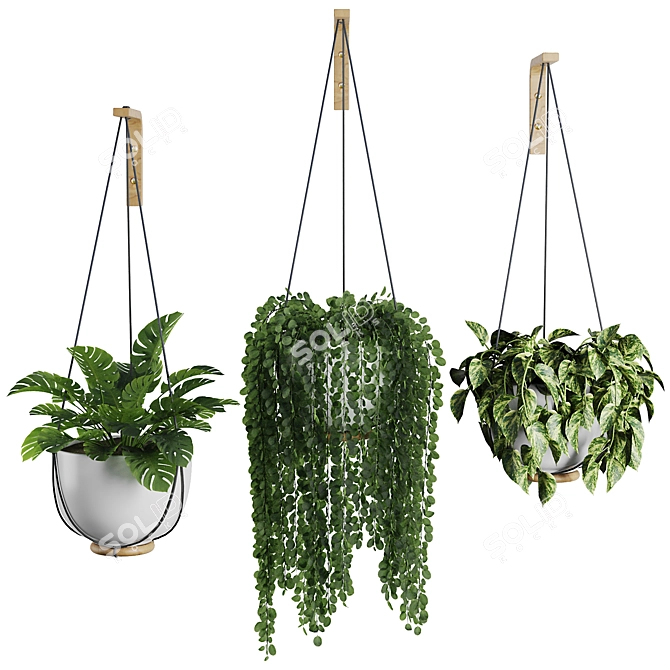 Modern Hanging Plant SetV3 3D model image 1