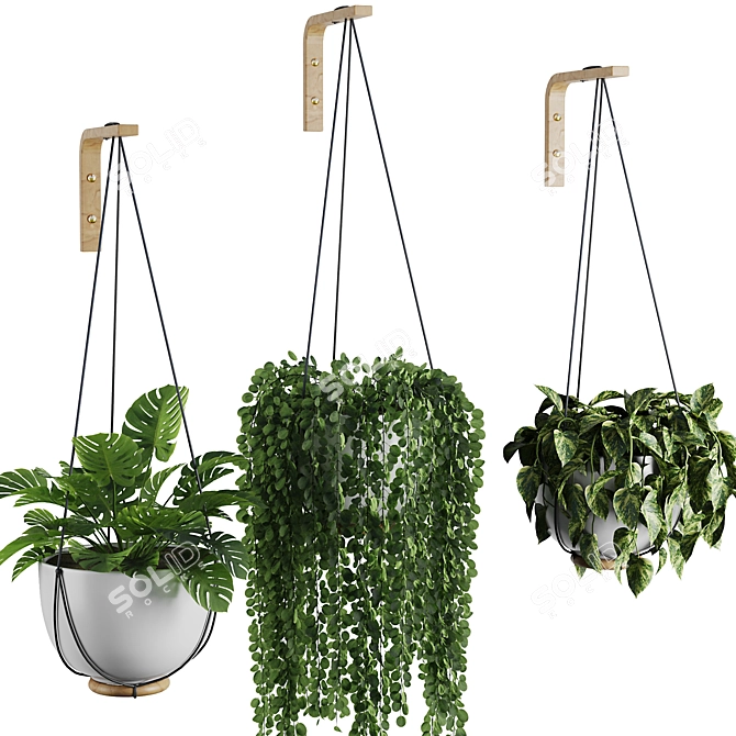 Modern Hanging Plant SetV3 3D model image 2