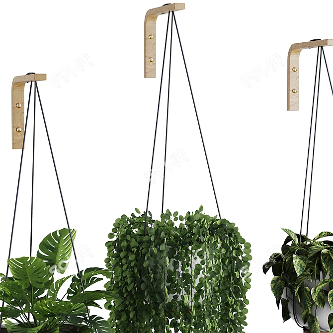 Modern Hanging Plant SetV3 3D model image 4