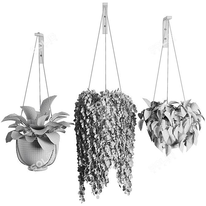 Modern Hanging Plant SetV3 3D model image 6