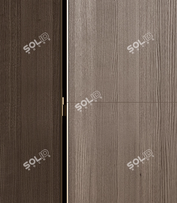 Sleek Modern Frameless Door Set 3D model image 3