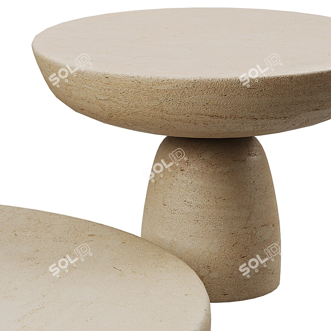 Minimalist Wabi Sabi Coffee Table 3D model image 3