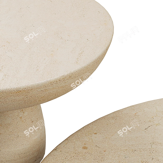 Minimalist Wabi Sabi Coffee Table 3D model image 5