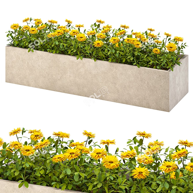 Vibrant Outdoor Marigold Flower Plant 3D model image 1