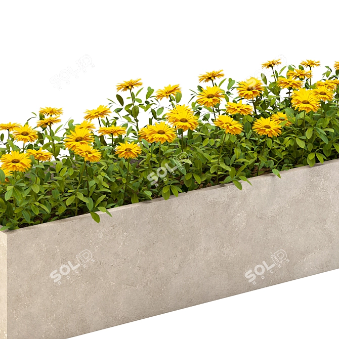 Vibrant Outdoor Marigold Flower Plant 3D model image 3