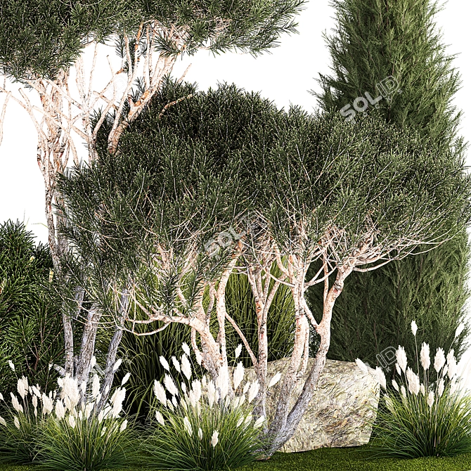 Alpine Topiary Tree Set 3D model image 2