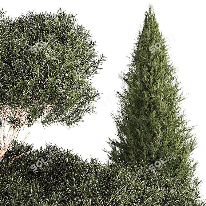 Alpine Topiary Tree Set 3D model image 3