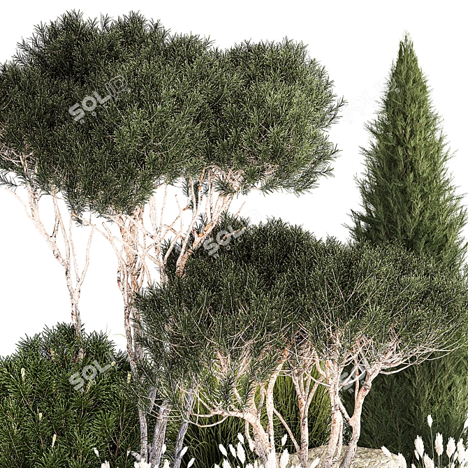 Alpine Topiary Tree Set 3D model image 4