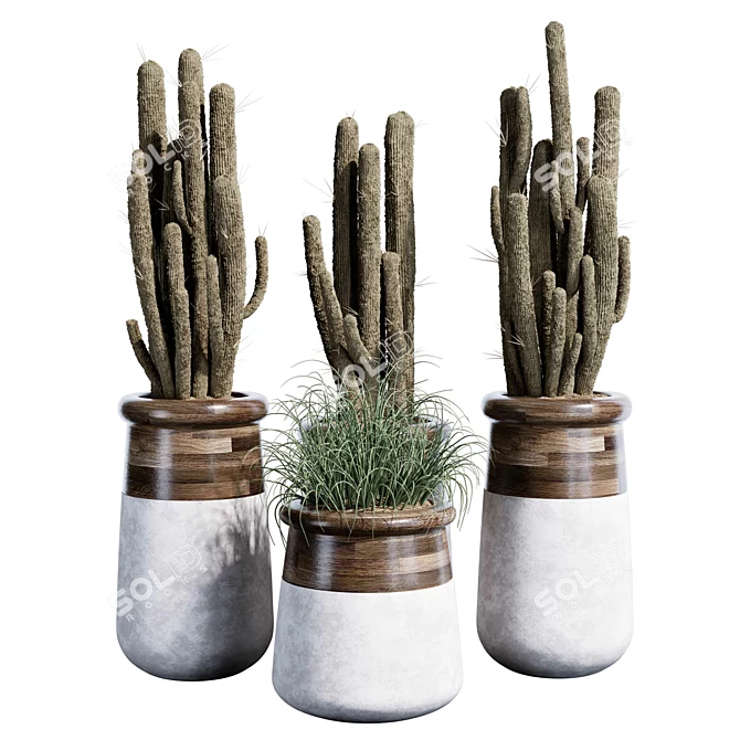 Quality Indoor Plant Set 37 3D model image 1