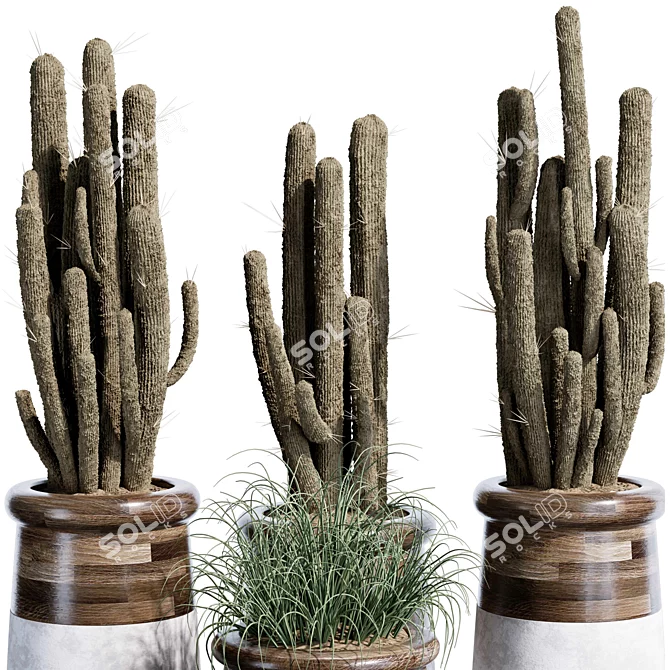 Quality Indoor Plant Set 37 3D model image 3