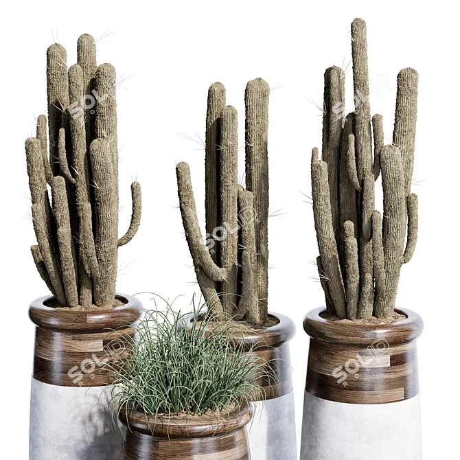 Quality Indoor Plant Set 37 3D model image 4