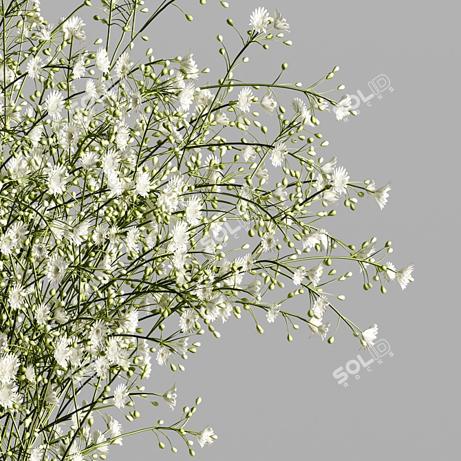 Modern Bouquet H2 2015 Render 3D model image 4