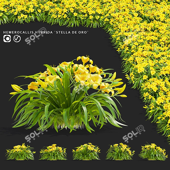 Stella De Oro Daylily Set 3D model image 1