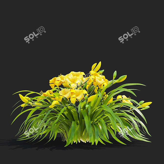 Stella De Oro Daylily Set 3D model image 5