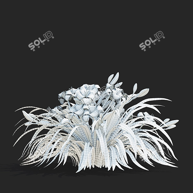 Stella De Oro Daylily Set 3D model image 6