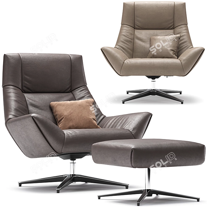  de Sede DS-149 Corona Armchair 3D model image 1