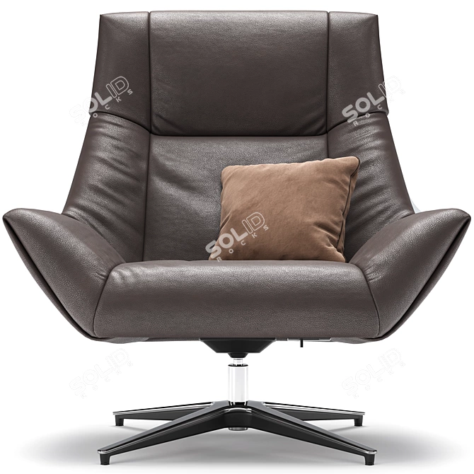  de Sede DS-149 Corona Armchair 3D model image 2