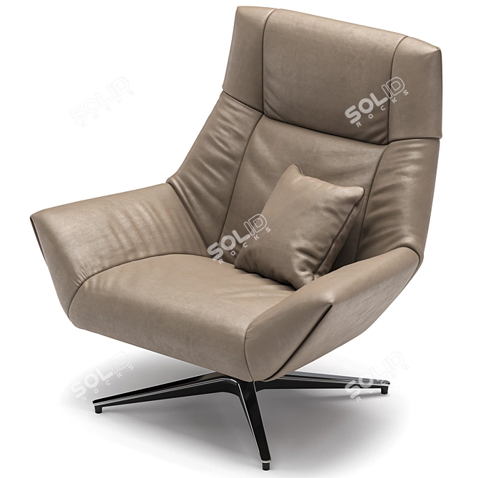  de Sede DS-149 Corona Armchair 3D model image 3