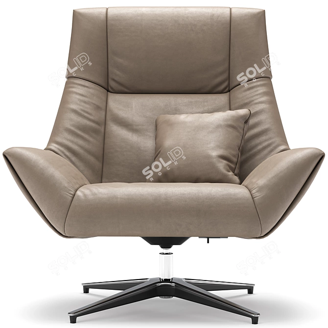  de Sede DS-149 Corona Armchair 3D model image 4