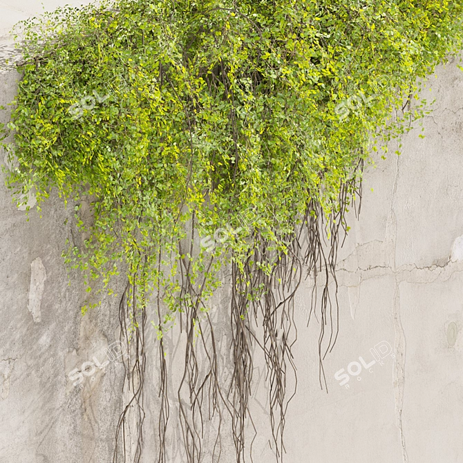 High-Quality Ivy Plant Model 3D model image 2
