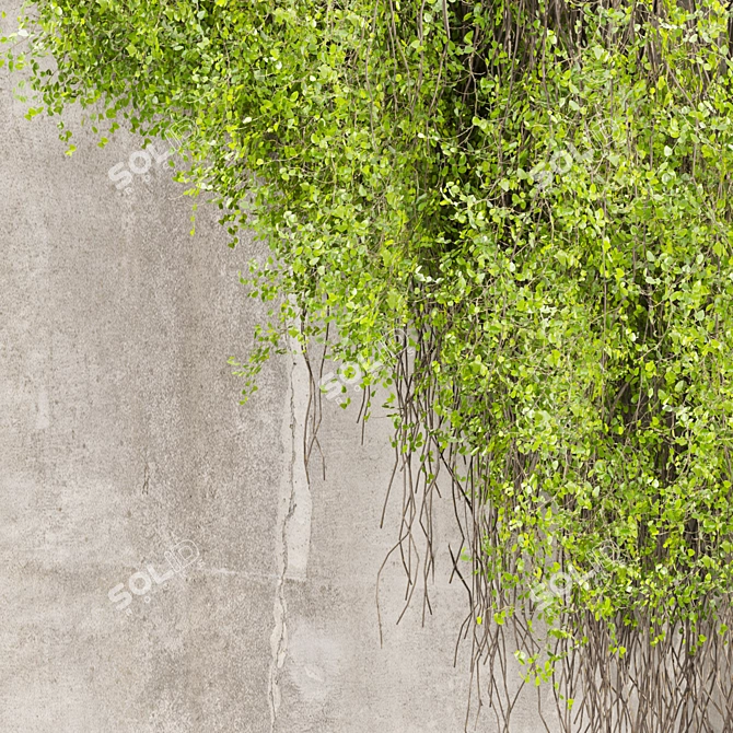 High-Quality Ivy Plant Model 3D model image 5