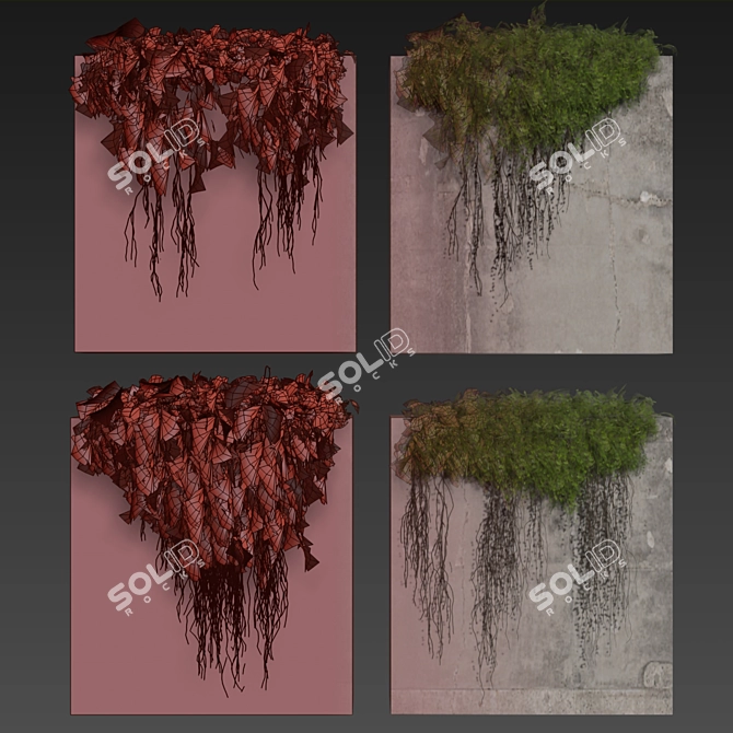 High-Quality Ivy Plant Model 3D model image 6