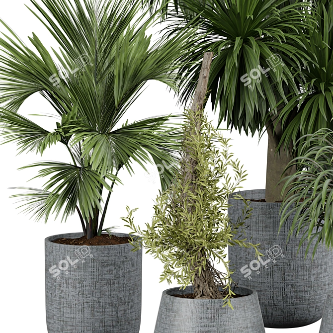 Interior Oasis 2015 Model Botanical 3D model image 2