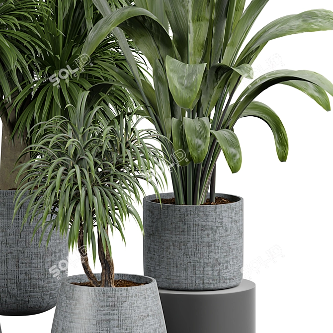 Interior Oasis 2015 Model Botanical 3D model image 3