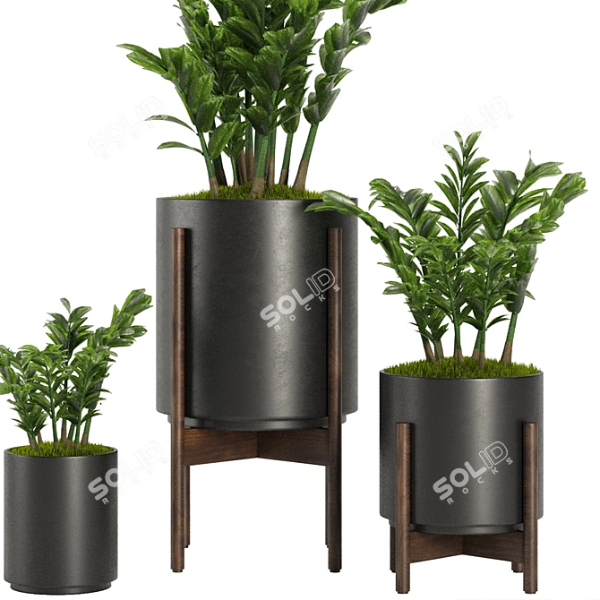 Indoor Plant Set V32-Zamiifolia 3D model image 4