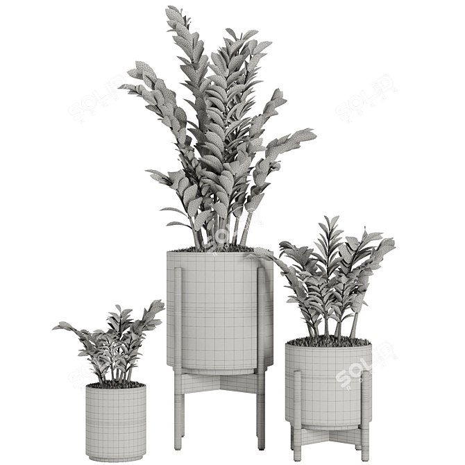 Indoor Plant Set V32-Zamiifolia 3D model image 5