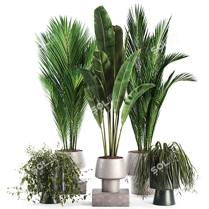 Modern Indoor Plant Set 3D 3D model image 1