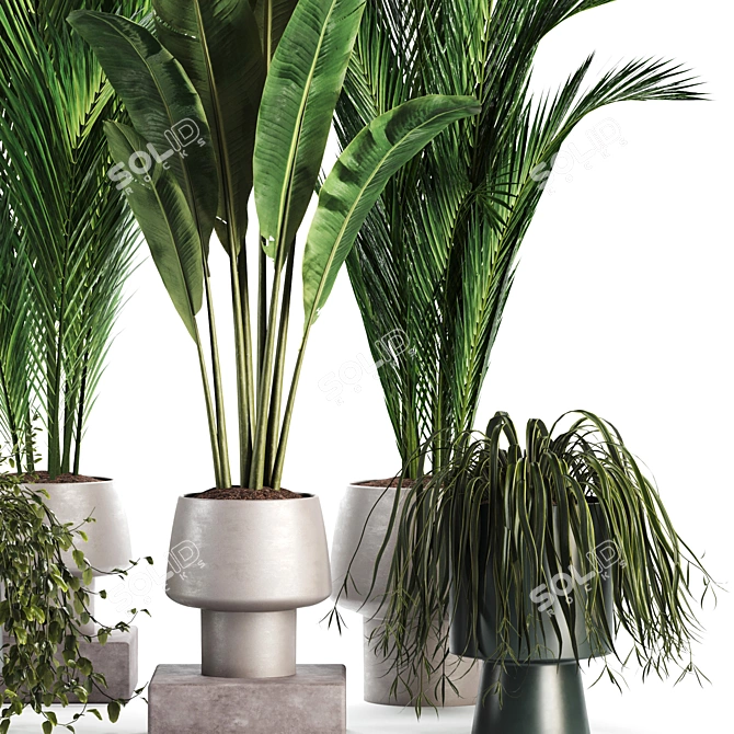 Modern Indoor Plant Set 3D 3D model image 3