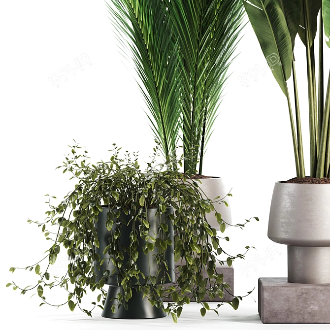 Modern Indoor Plant Set 3D 3D model image 4