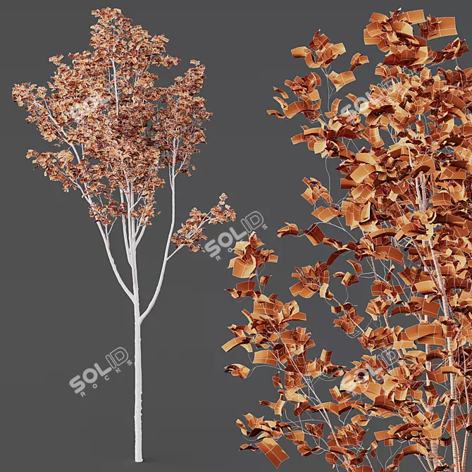 Diverse HQ Acer Plant Models 3D model image 4