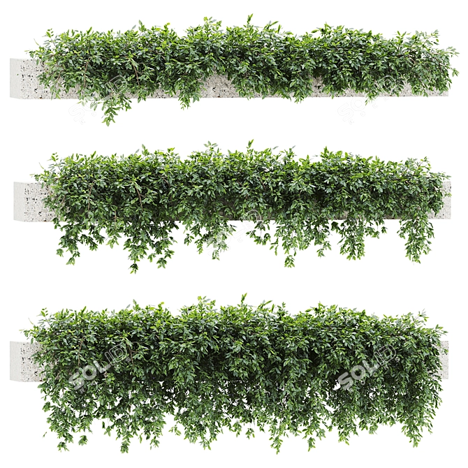 1315000 Botanical 3D Models Set 3D model image 1