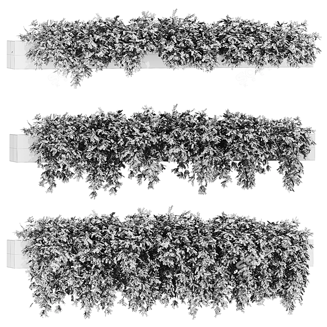 1315000 Botanical 3D Models Set 3D model image 2