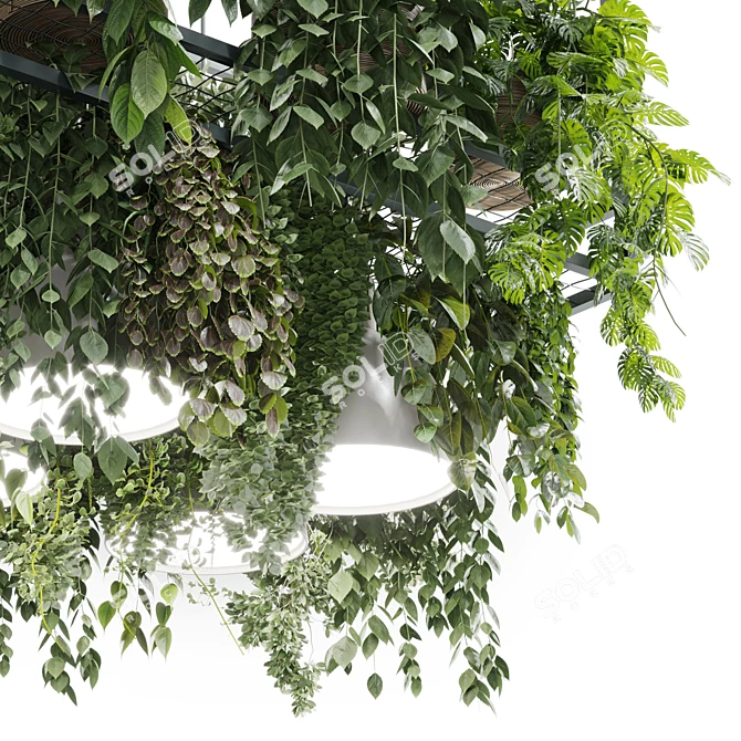 Rectangular Plant Light Pendant-Hanging 3D model image 5