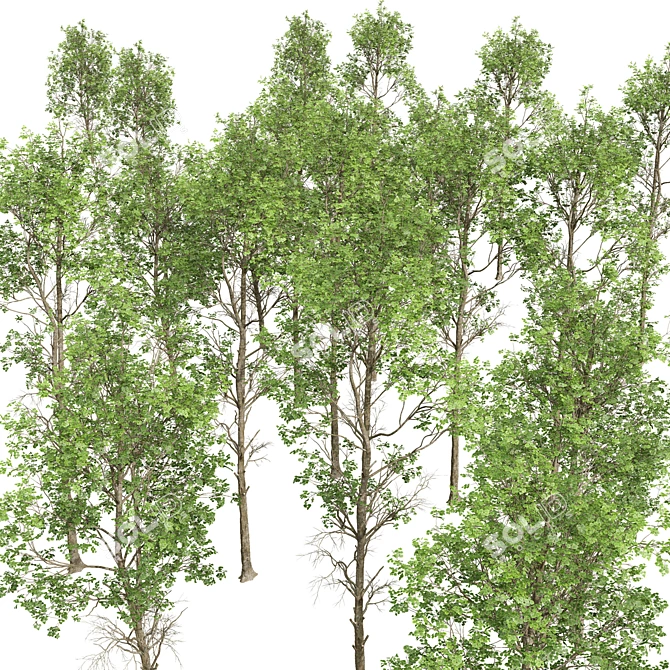 Forest Tree 3D Models Bundle 3D model image 6