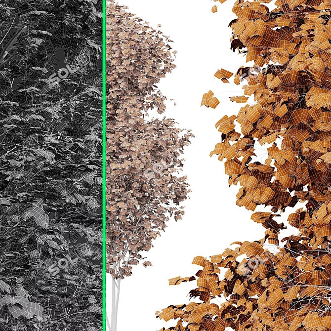 Forest Tree 3D Models Bundle 3D model image 7